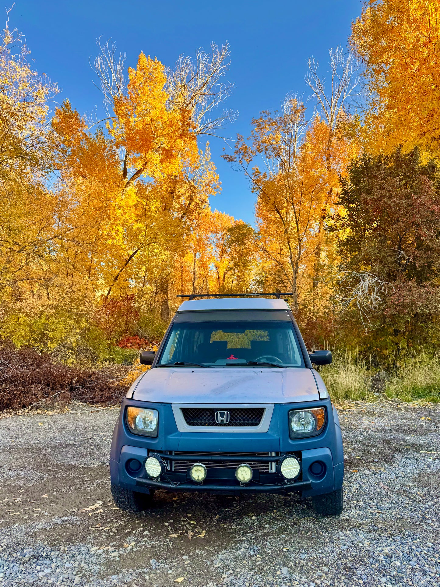 2006 Element Ecamper