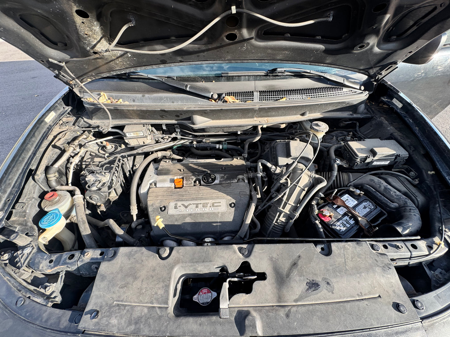 2006 Element EX AWD