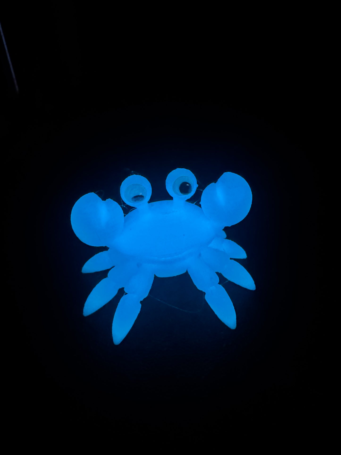 Blue glow in the dark Mini Gil the Crab Dash buddy